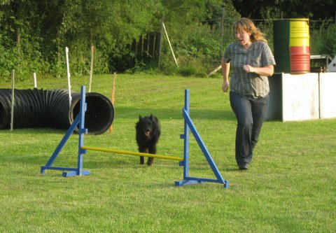20120717_1206466671_img_4294