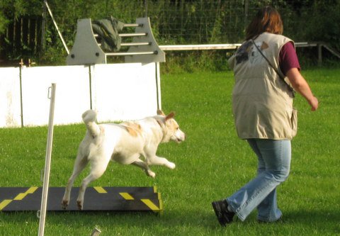 20120717_1337855131_img_5040