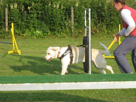 20120717_1360177638_img_4182