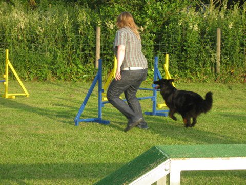 20120717_1429978222_img_4258