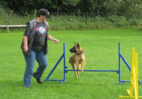 20120717_1526619699_img_4647