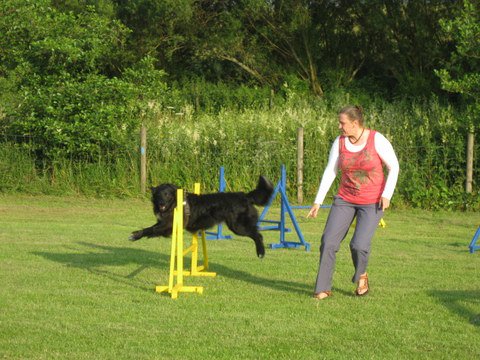 20120717_1931078745_img_4150