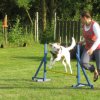 20120717_1118483808_img_4178