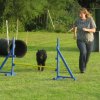 20120717_1206466671_img_4294