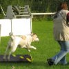 20120717_1337855131_img_5040