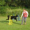 20120717_1931078745_img_4150