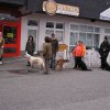 20080410_1461983291_verkehrsteil3