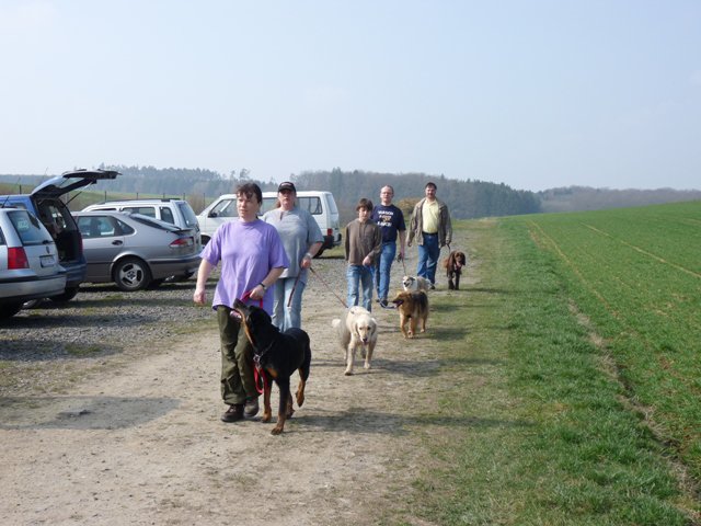 20090412_1033072157_verk-teil2