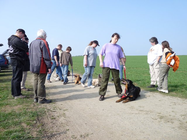 20090412_1496056769_verk-teil5