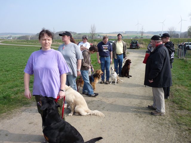 20090412_1497038344_verk-teil3