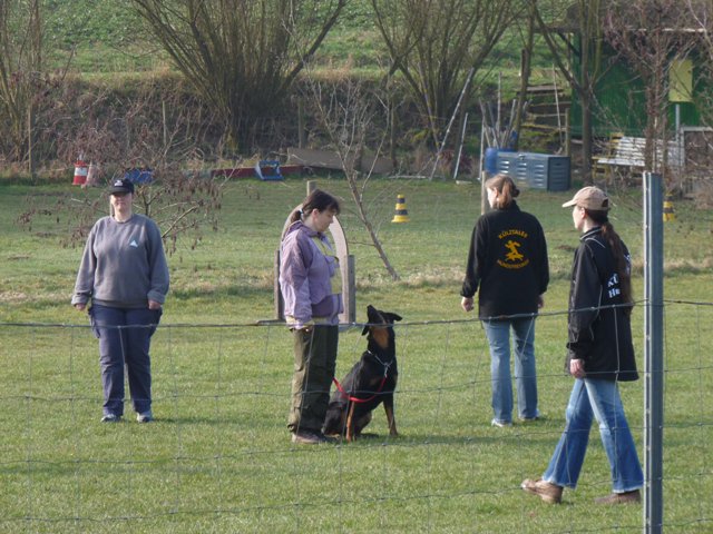 20090412_1825551243_gruppe-berryl