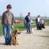 20090412_1256603821_verk-teil8