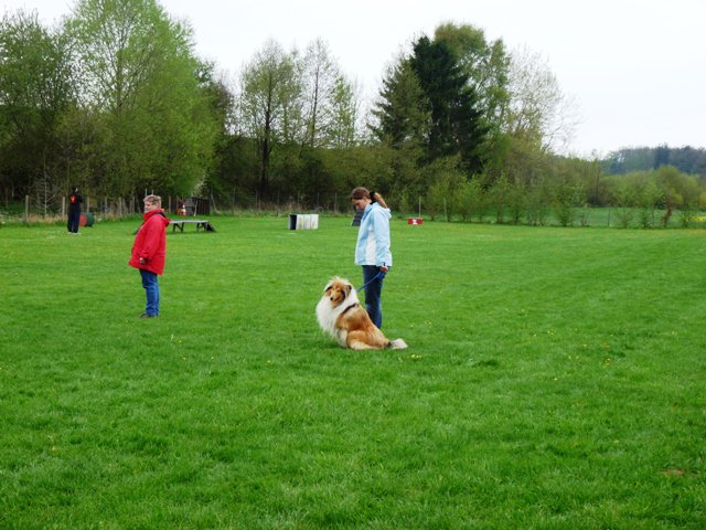20101123_1455153025_p1040990