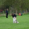 Begleithundepruefung2010