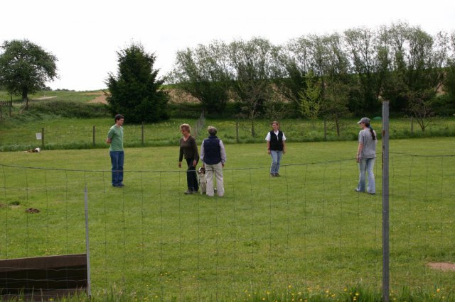 20110731_1495162148_img_5302