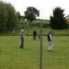 20110731_1181132489_img_5299