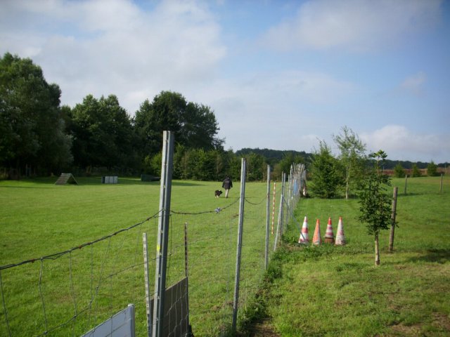 20120901_1556166081_dsci0075