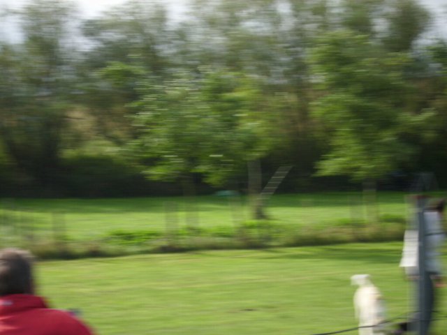 20120901_1580389146_dsci0092