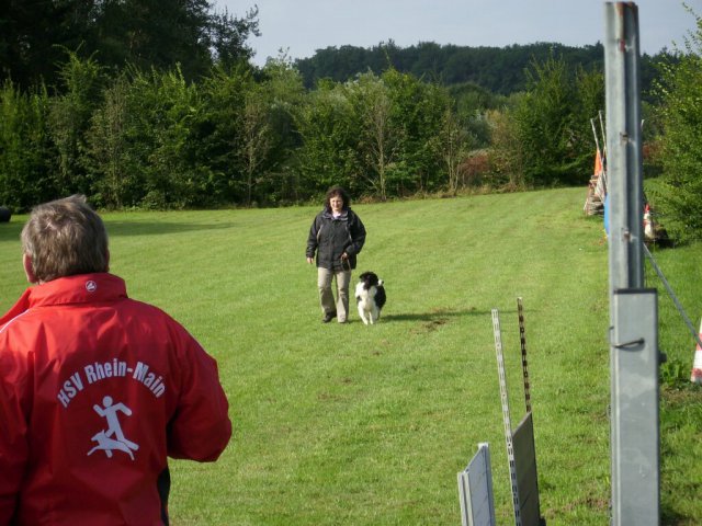 20120901_1647500839_dsci0072
