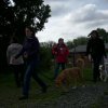 Begleithundepruefung2012