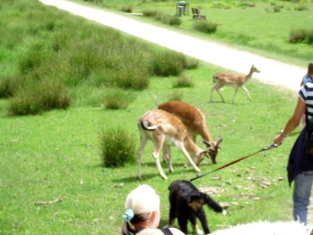 20080706_1338571691_img_0363_klein