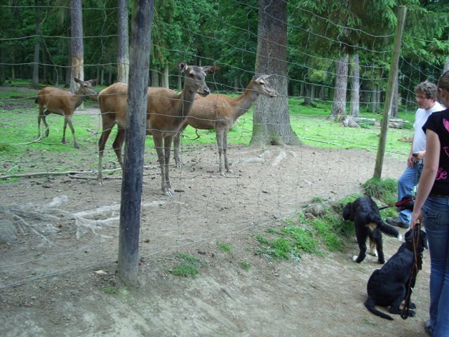 20080706_1665668169_img_0349_klein