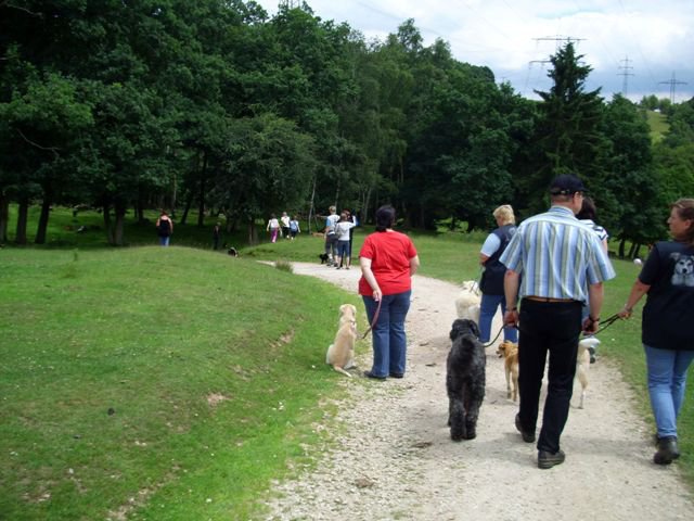 20080706_1768936479_img_0360_klein