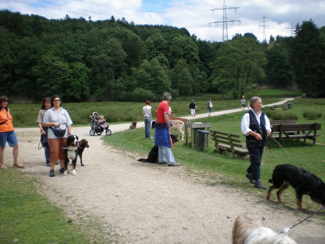 20080716_2016155901_p6210079-klein