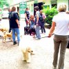 20080706_1149057178_img_0335_klein