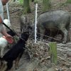 20080706_1283946672_img_0375_klein
