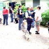 20080706_1287880485_img_0338_klein