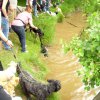 20080706_1337573890_img_0368_klein