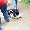 20080706_1357372701_img_0342_klein