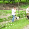 20080706_1487745095_img_0372_klein