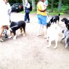 20080706_1494847149_img_0340_klein
