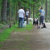 20080706_1583170343_img_0352_klein