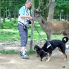 20080706_1940687229_img_0348_klein