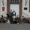 20110731_1337611031_petra_sydow_3