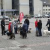 20110731_1412165854_petra_sydow_1