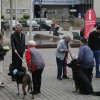 20110731_1514595477_petra_sydow_2