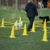 20140525_1094578316_jahresauftakt2014reduziert_04