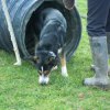 20140525_1194018013_jahresauftakt2014reduziert_16