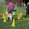 20140525_1814764732_jahresauftakt2014reduziert_07