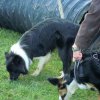 20140525_1922391697_jahresauftakt2014reduziert_17
