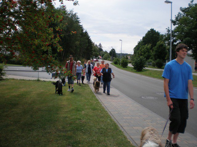 20080824_1382897386_kyrill001