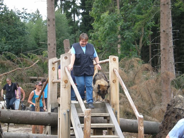 20080824_2056587367_kyrill005