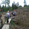 20080824_1554402809_kyrill008