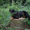 20080824_1810330966_kyrill009
