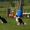 20110801_1369104555_img_5474