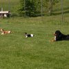 20110801_1885533888_img_5483
